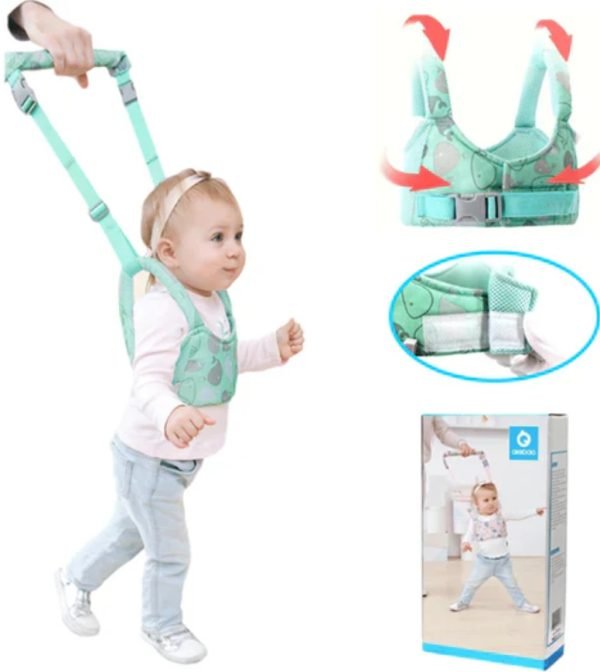 arnes caminadora arnes caminadora