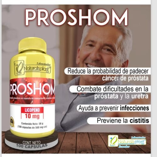 PROSHOM Proshom